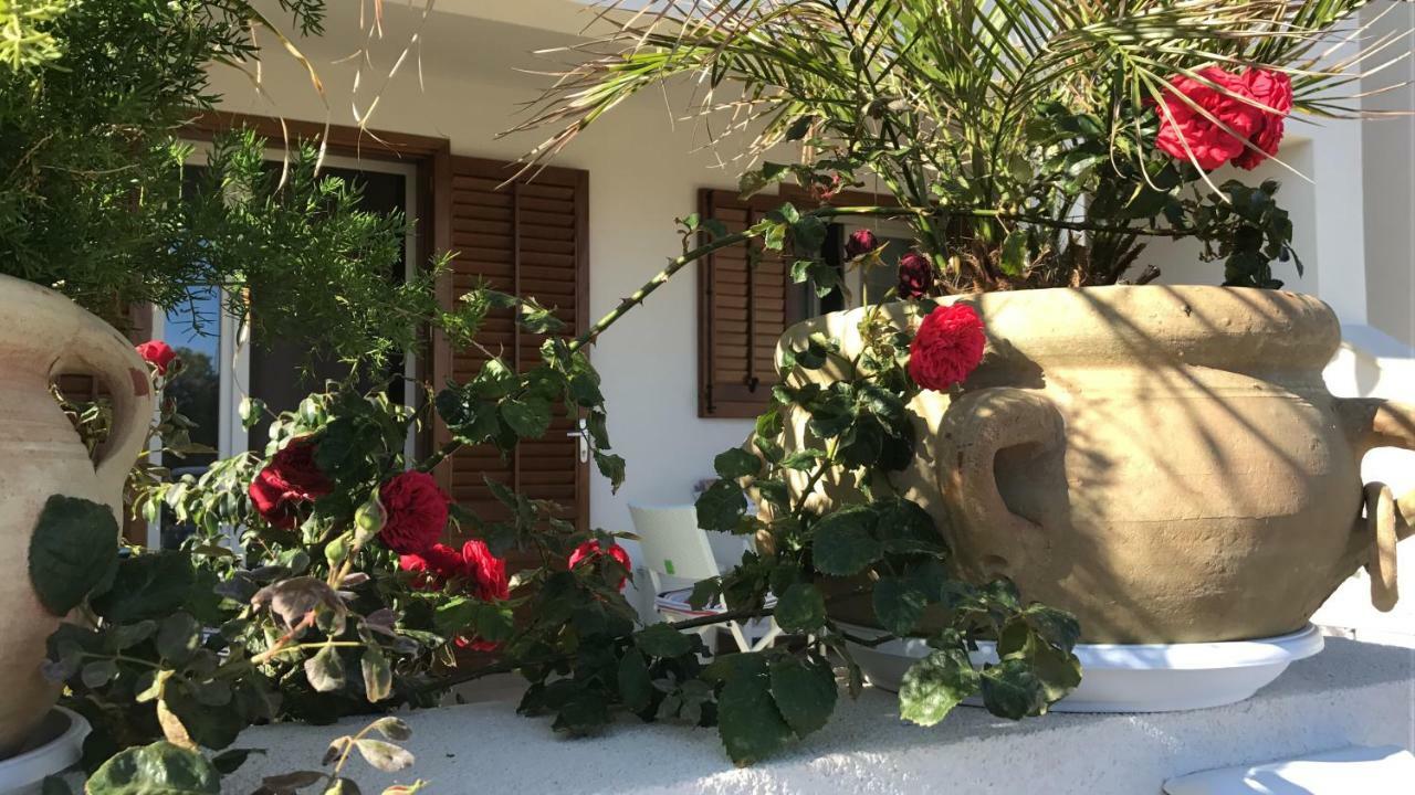 Cima Bianca Bed & Breakfast San Vito Lo Capo Dış mekan fotoğraf