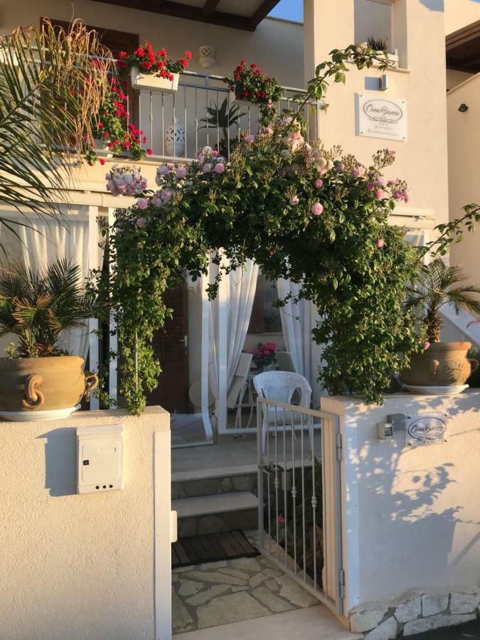 Cima Bianca Bed & Breakfast San Vito Lo Capo Dış mekan fotoğraf